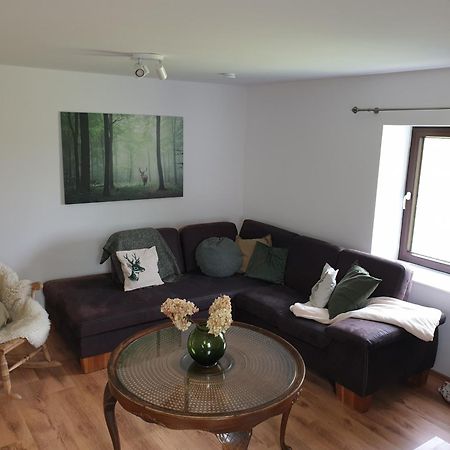 Osteblick Apartment Oberndorf  Ngoại thất bức ảnh
